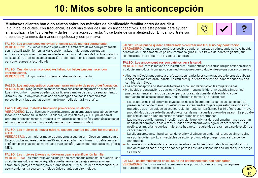 Un pequeño bridón el miembro viril